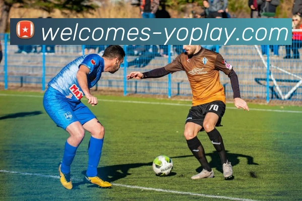 YOPLAY电子官网服务体系